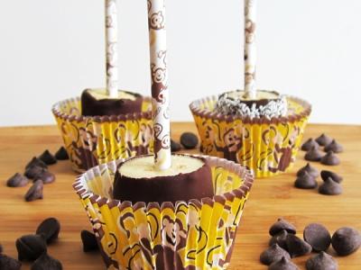 Frozen Chocolate Banana Monkey Pops 